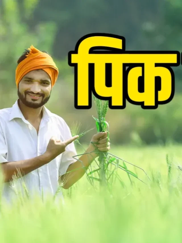 शेतकऱ्यांना २६ हजार प्रति हेक्टर पिक विमा मिळणार | Farming Insurance