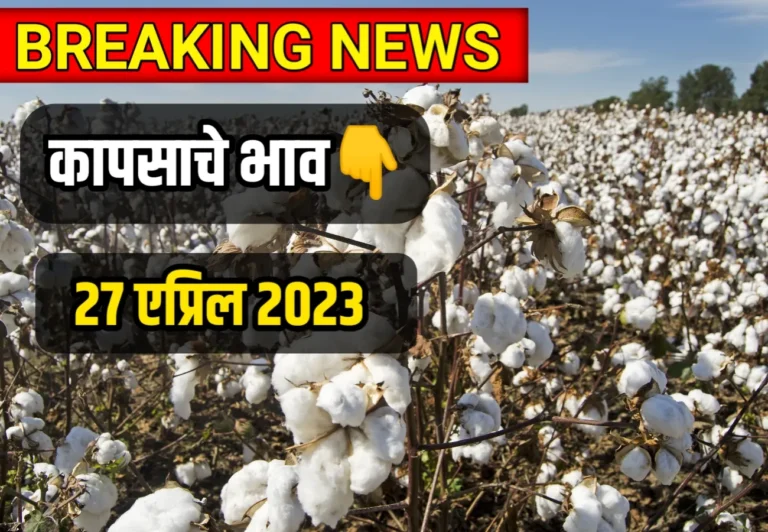 Cotton Rate ; आजचे कापसाचे भाव 27 एप्रिल 2023, kapsache bhav