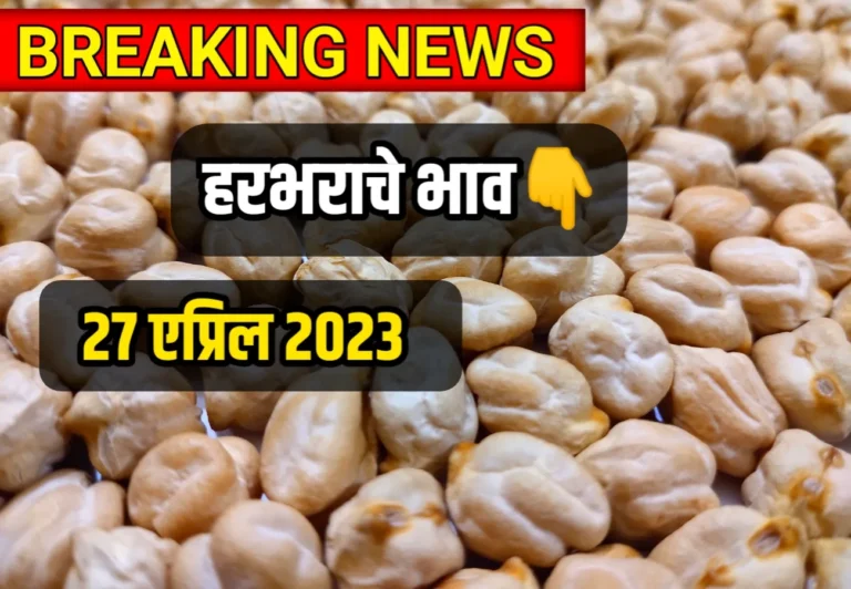 Gram Price ; आजचे हरभराचे भाव 27 ‍एप्रिल 2023, harbharache bhav