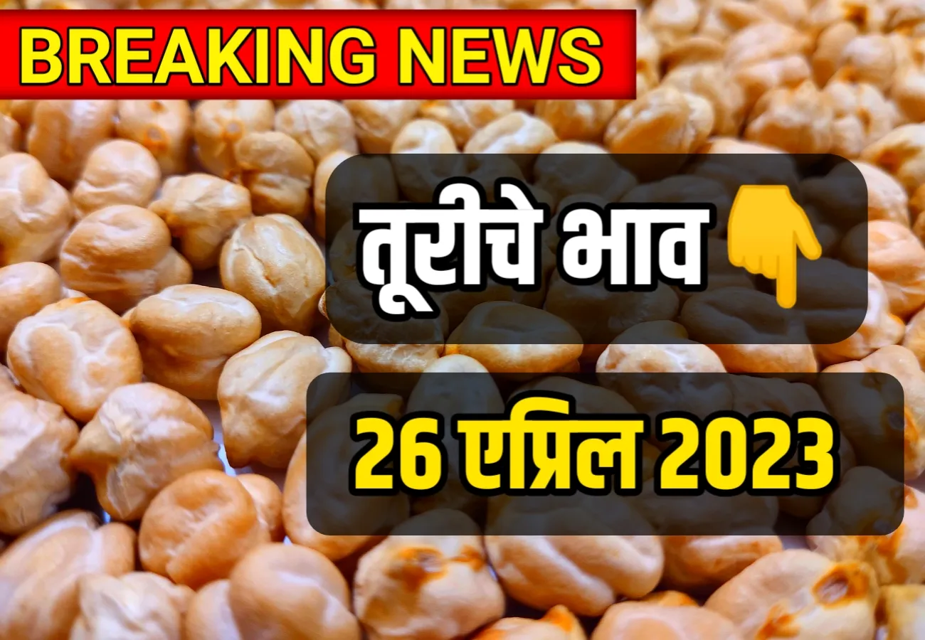 Gram Rate ; आजचे हरभराचे भाव 26 एप्रिल 2023, harbharache bhav today