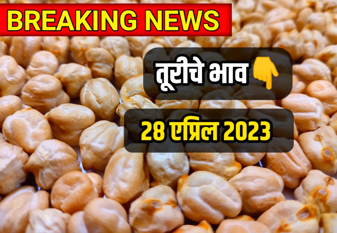 Gram Rate ; आजच हरभराचे भाव 28 एप्रिल 2023, harbharche bhav Maharashtra