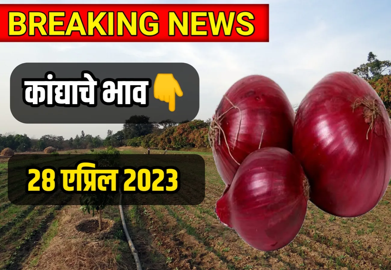 Onions Rate ; संपूर्ण महाराष्ट्रातील कांद्याचे भाव 2‍8‍ एप्रिल 2023, kandache bajar bhav today