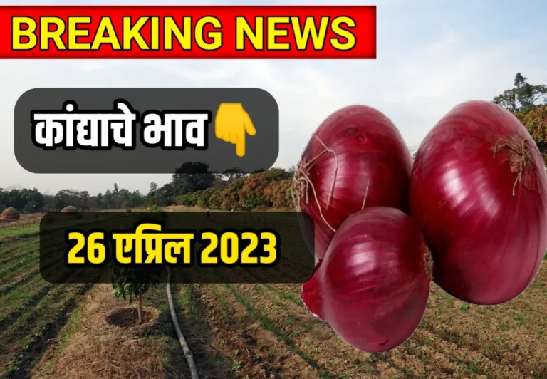 Onions Rate ; आजचे कांद्याचे भाव 26 एप्रिल 2023, kandache bhav today