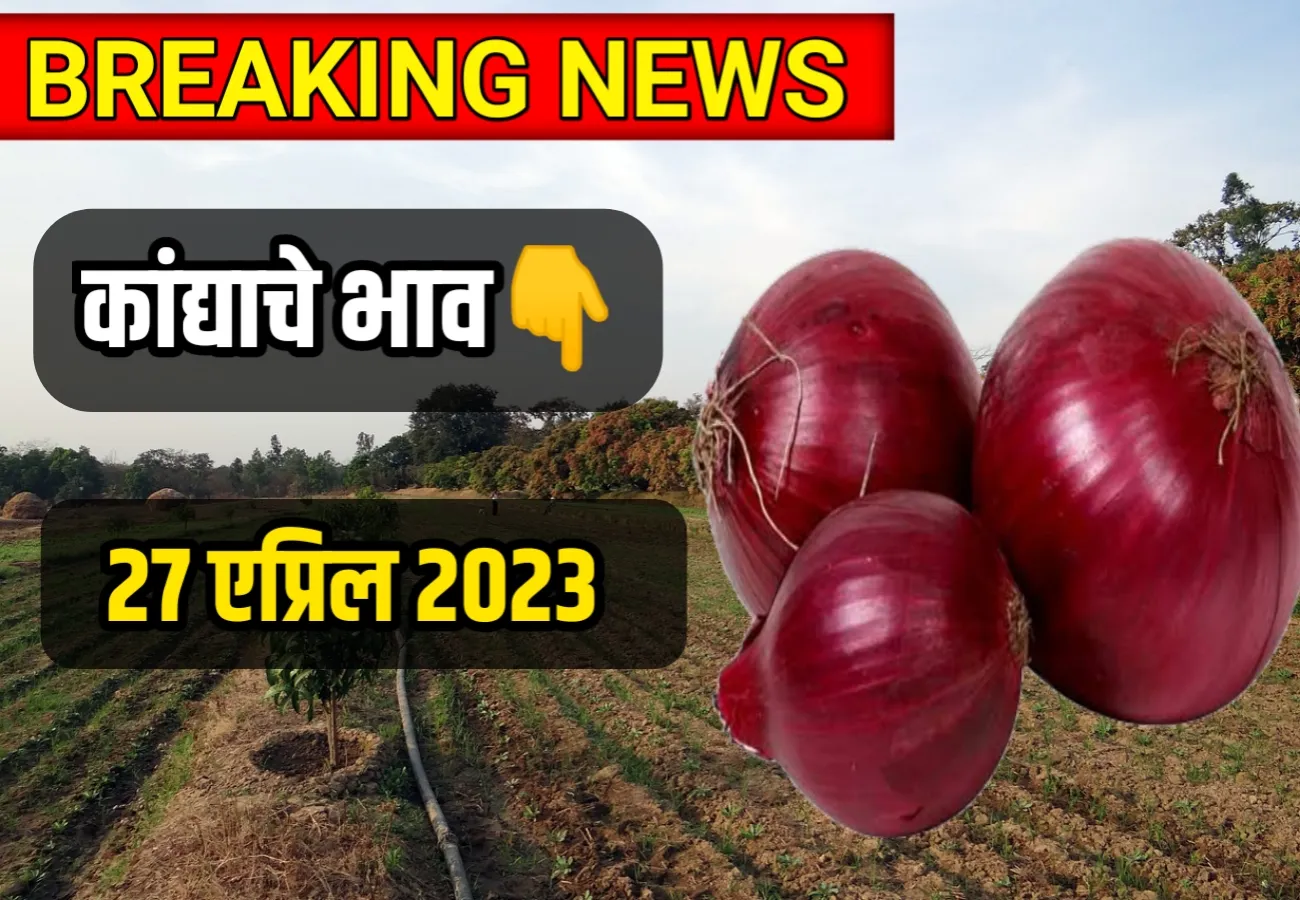 ‍Onions Rate ; आजचे कांद्याचे भाव 27 एप्रिल 2023, kanda bajar bhav