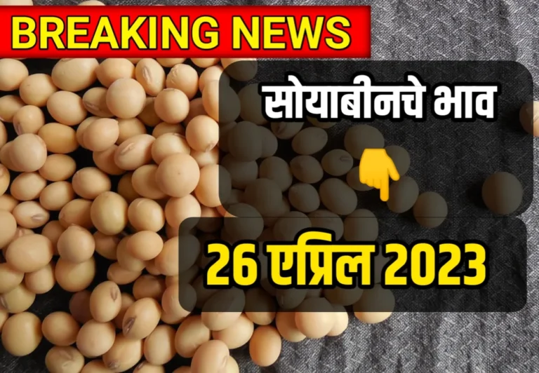 Soybean Rate ; आजचे सोयाबीनचे भाव 26 एप्रिल 2023, Soybean Rate in Maharashtra