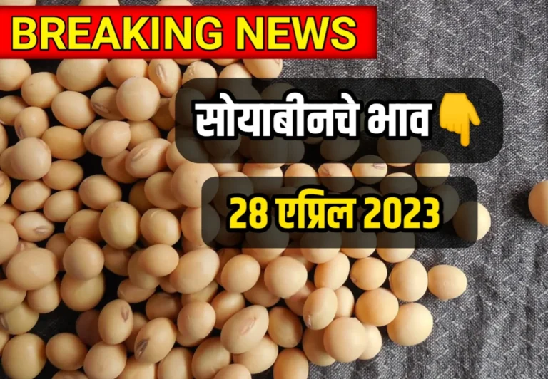 Soybean Rate ; आजचे सोयाबीनचे भाव 28 एप्रिल 2023, लगेच जाणून घ्या