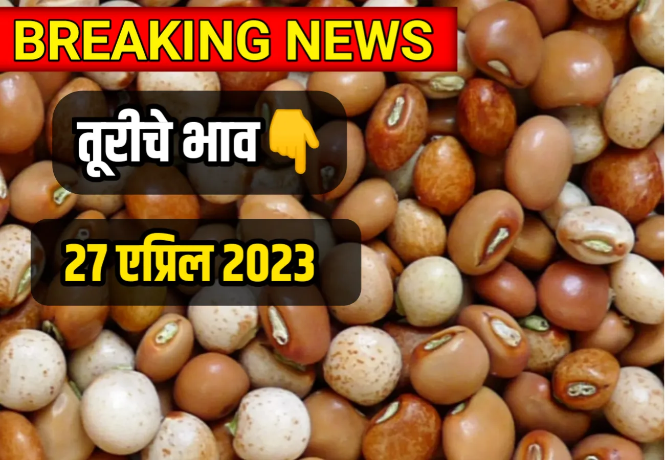 Tur Rate ; आजचे तूरीचे भाव 27 एप्रिल 2023, Turiche bhav Today