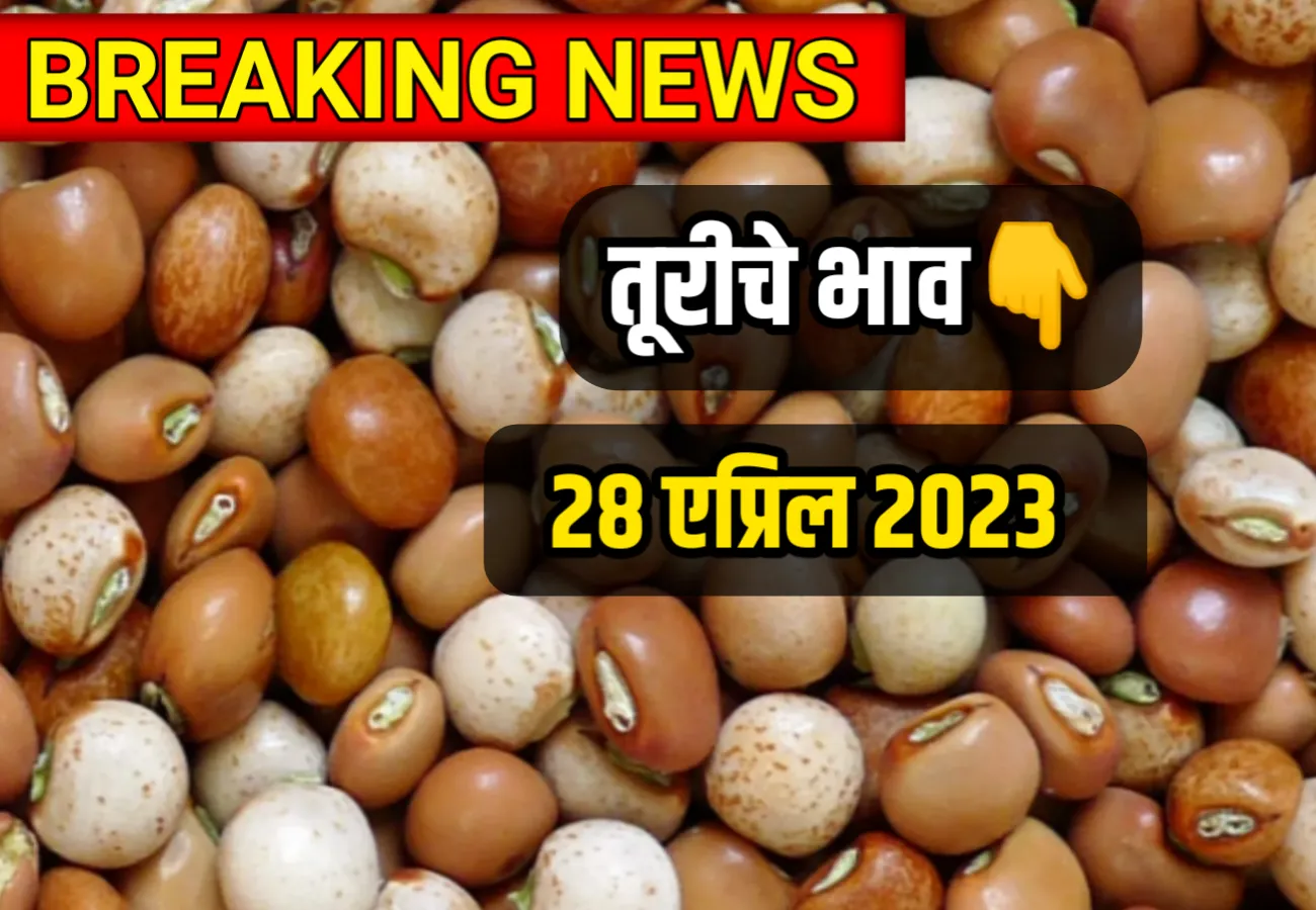 Tur Rate ; संपूर्ण महाराष्ट्रातील तूरीचे भाव 28 एप्रिल 2023, Tur Rate Maharashtra