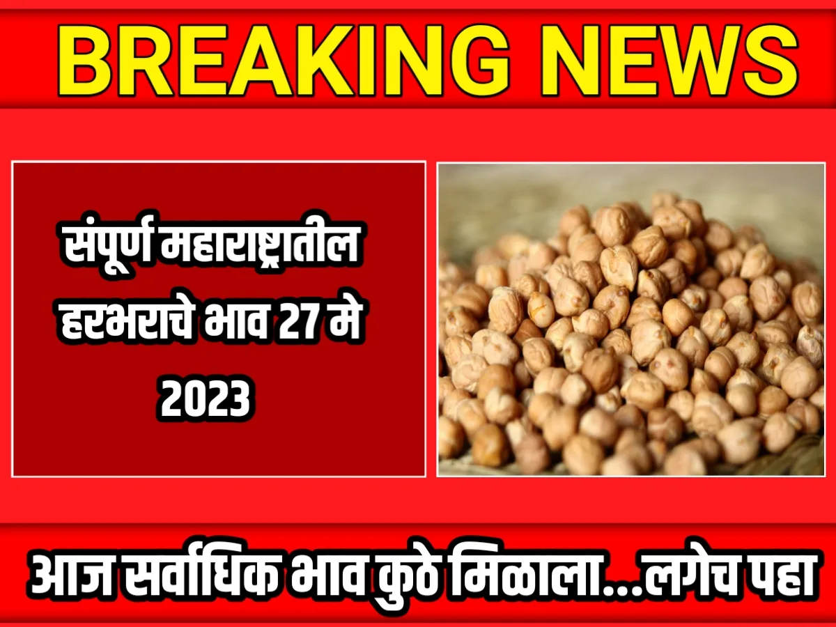 Chana Rate : आजचे हरभराचे भाव 27 मे 2023