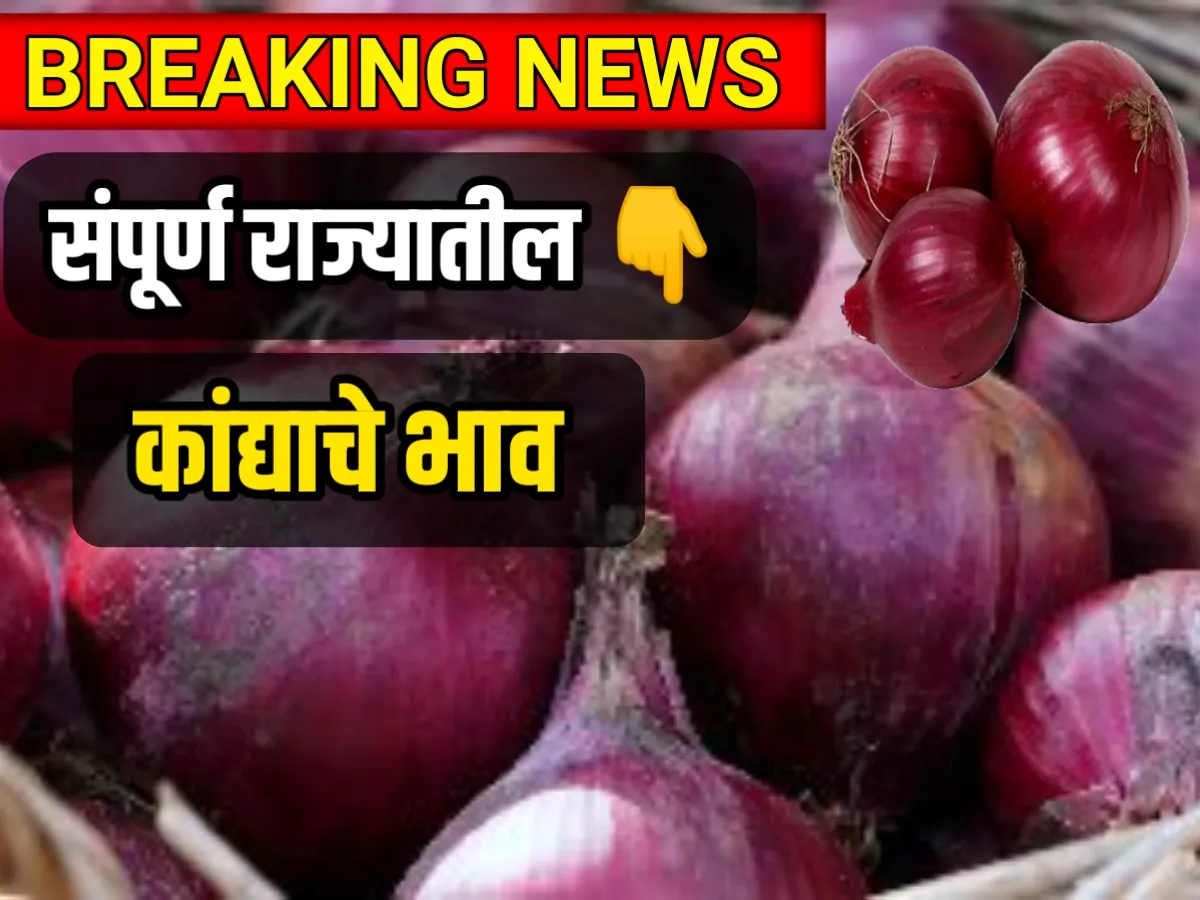 आजचे कांद्याचे भाव 9 मे 2023 ; Onions Rate