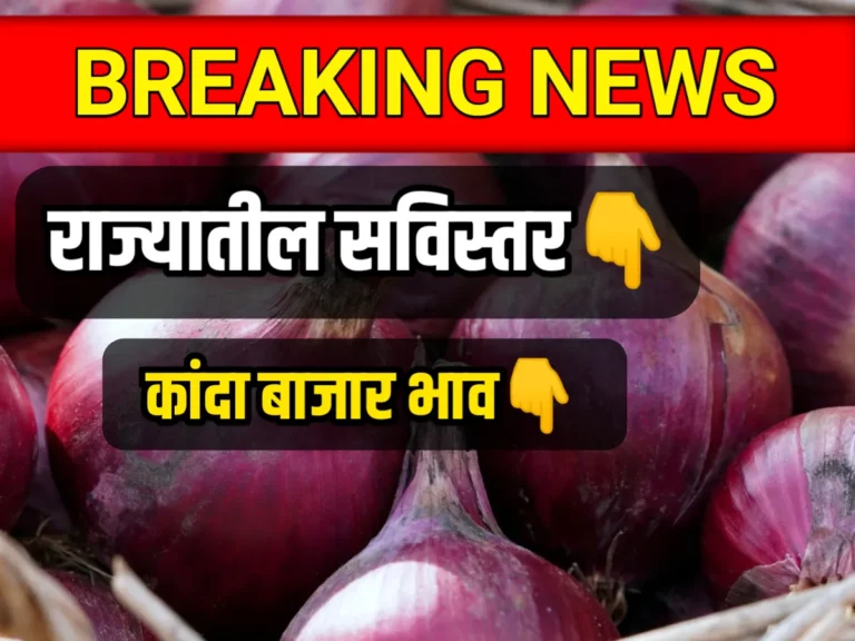 Live Onions Rate : आजचे कांद्याचे बाजार भाव 8 मे 2023 अपडेट