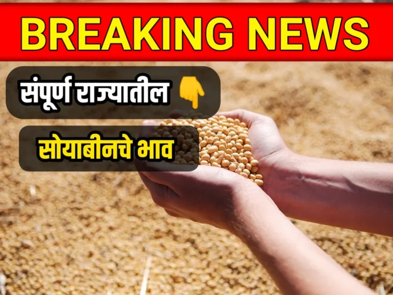 आजचे सोयाबीनचे भाव 9 मे 2023 ; Live Soybean Rate