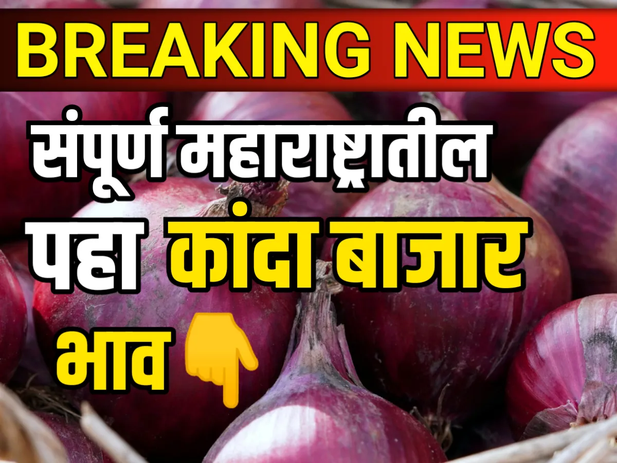 Onions Rate : संपूर्ण महाराष्ट्रातील कांद्याचे भाव 11 मे 2023