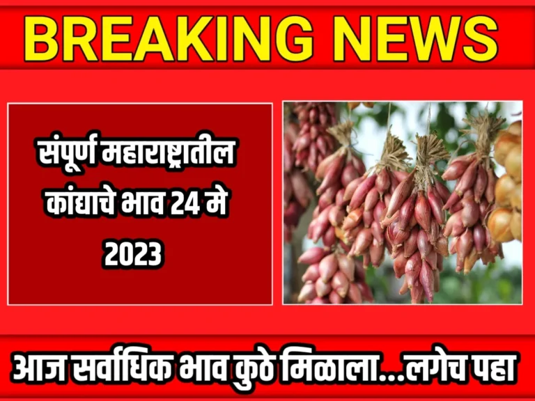 Onions Rate : आजचे कांद्याचे भाव 24 मे 2023