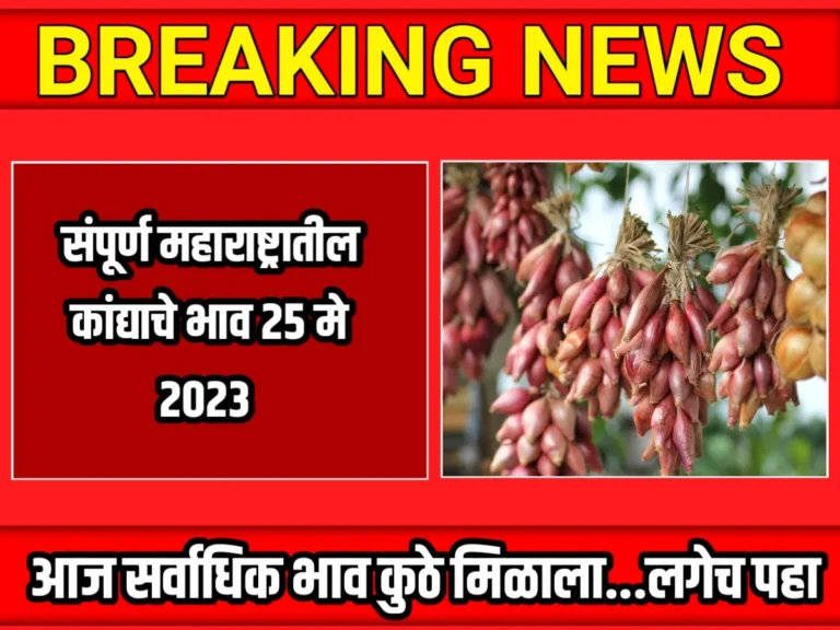 Onions Rate : आजचे कांद्याचे भाव 25 मे 2023