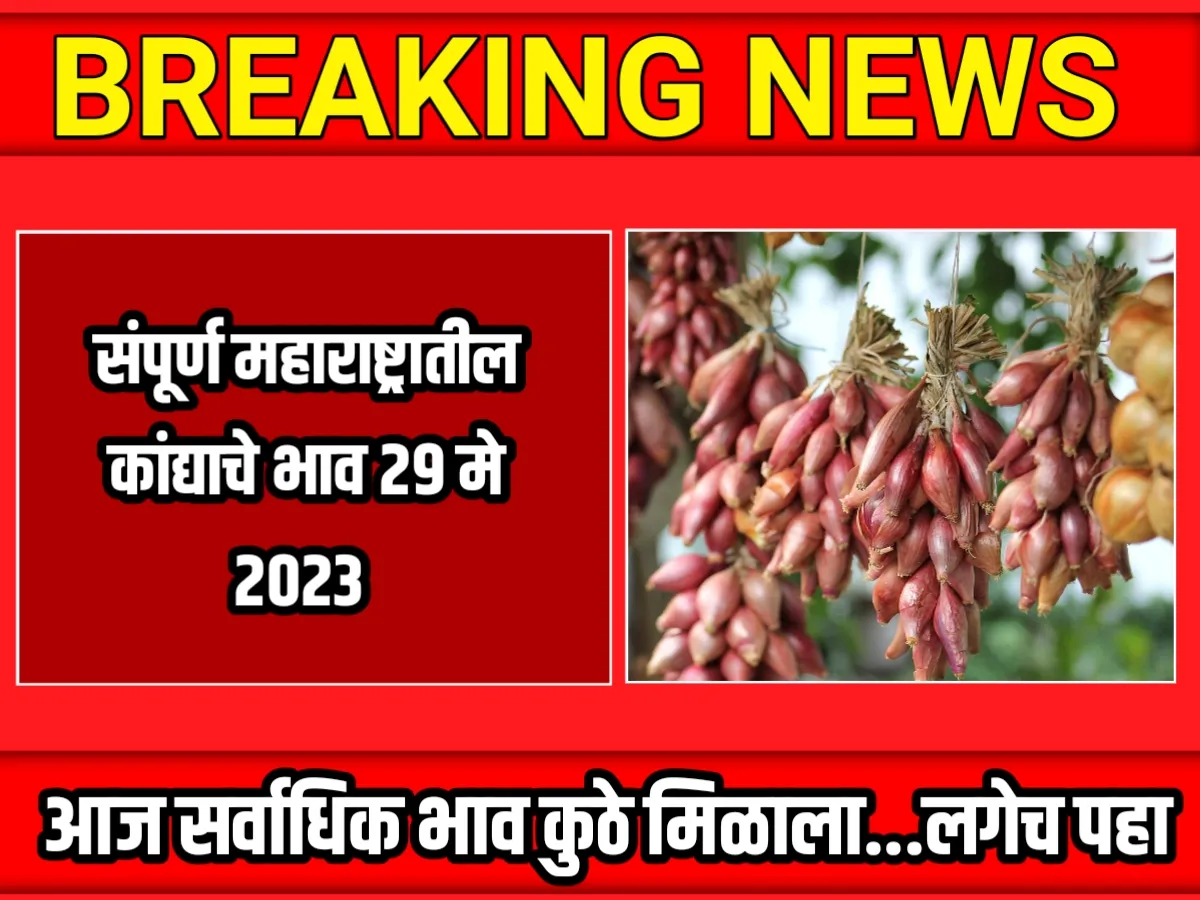 Onions Rate : आजचे कांद्याचे भाव 29 मे 2023