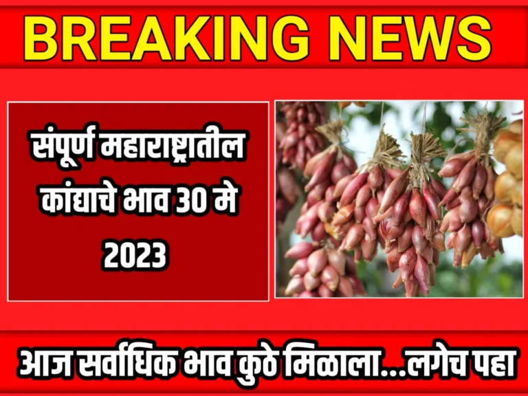 Onions Rate : आजचे कांद्याचे भाव 30 मे 2023