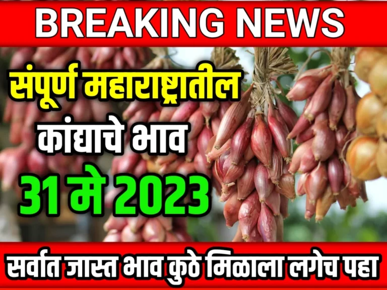 Onions Rate : आजचे कांद्याचे भाव 31 मे 2023