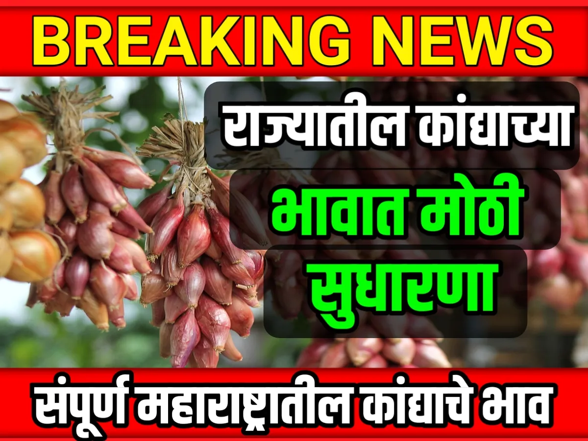 Onions Rate : आजचे कांद्याचे भाव 16 मे 2023 महाराष्ट्र