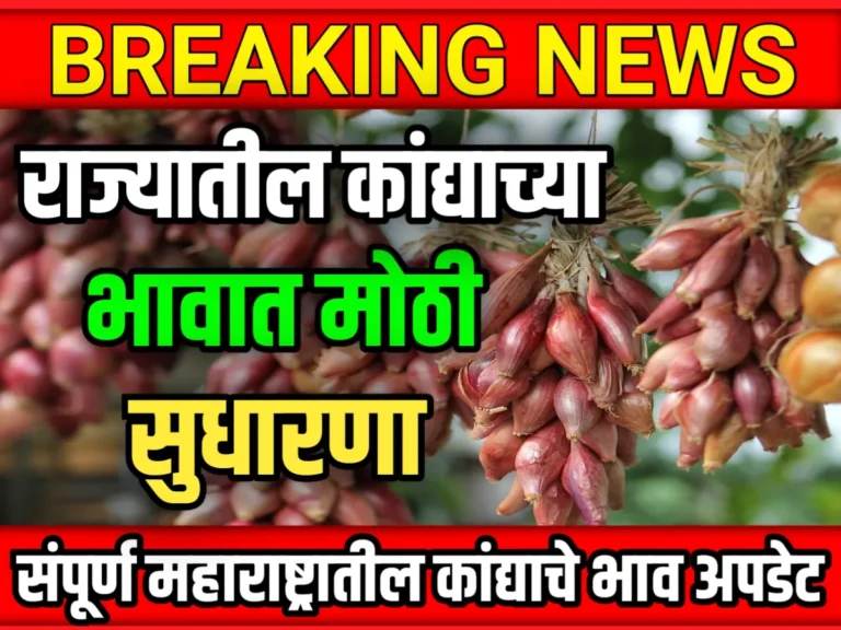 Onions Rate : आजचे कांद्याचे भाव 17 मे 2023