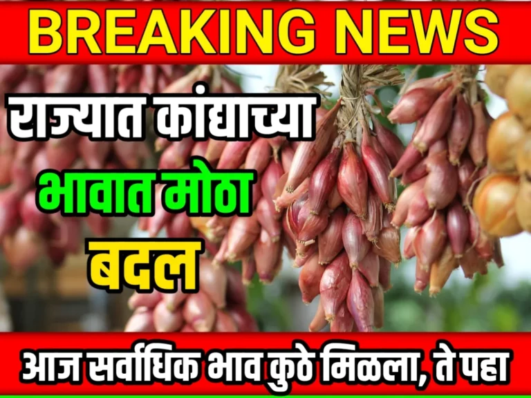 Onions Rate : आजचे कांद्याचे भाव 18 मे 2023