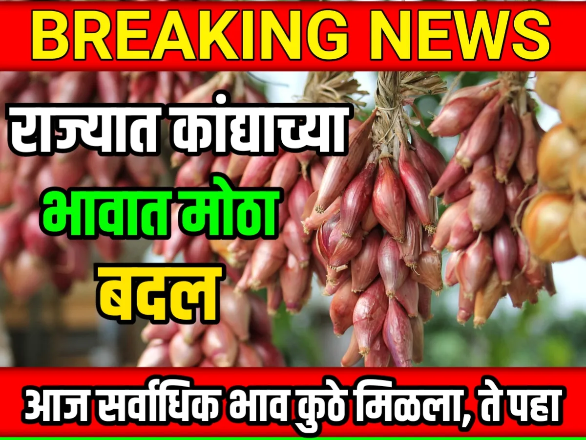 Onions Rate : आजचे कांद्याचे भाव 18 मे 2023