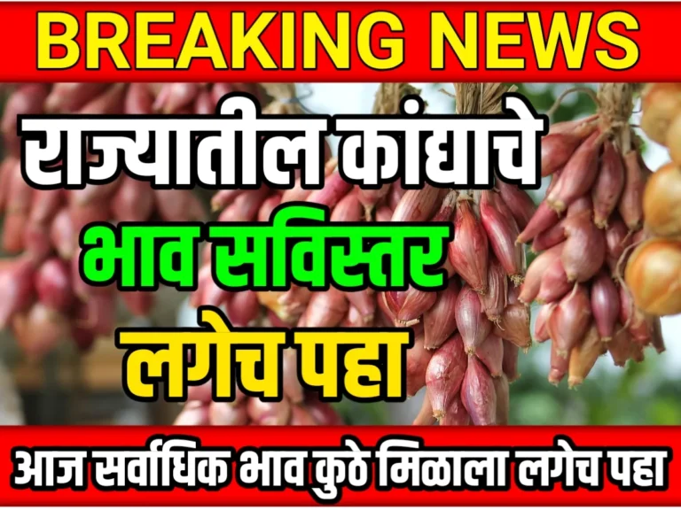 Onions Rate : आजचे कांद्याचे भाव 19 मे 2023