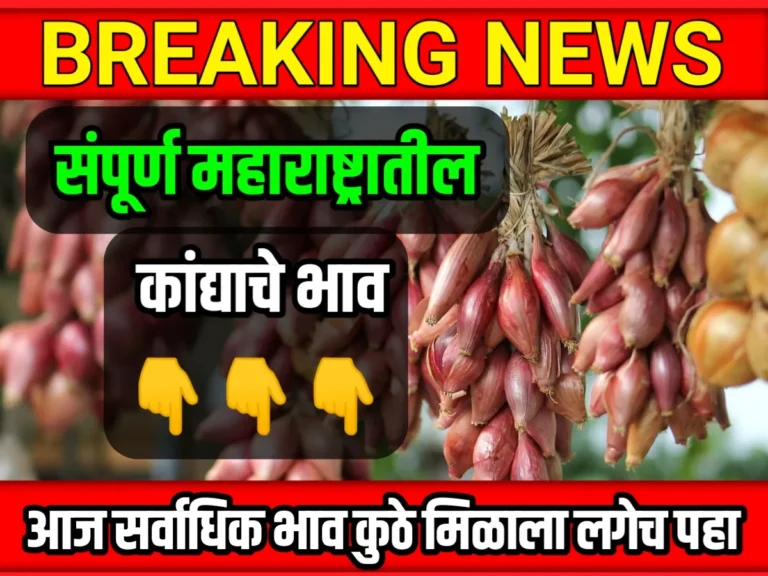 Onions Rate : आजचे कांद्याचे भाव 22 मे 2023