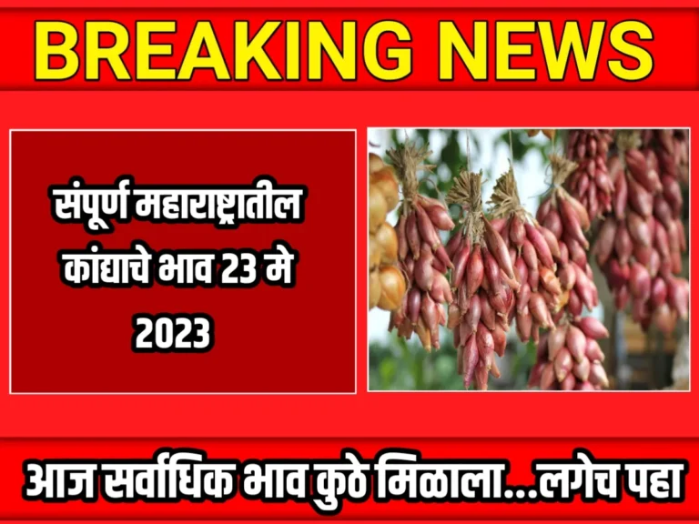 Onions Rate : आजचे कांद्याचे भाव 23 मे 2023