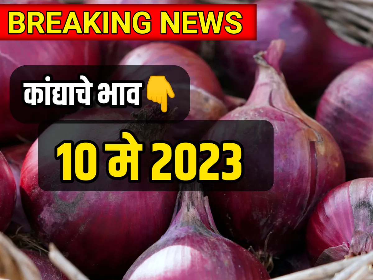 Onions Rate : आजचे कांद्याचे भाव 10 मे 2023