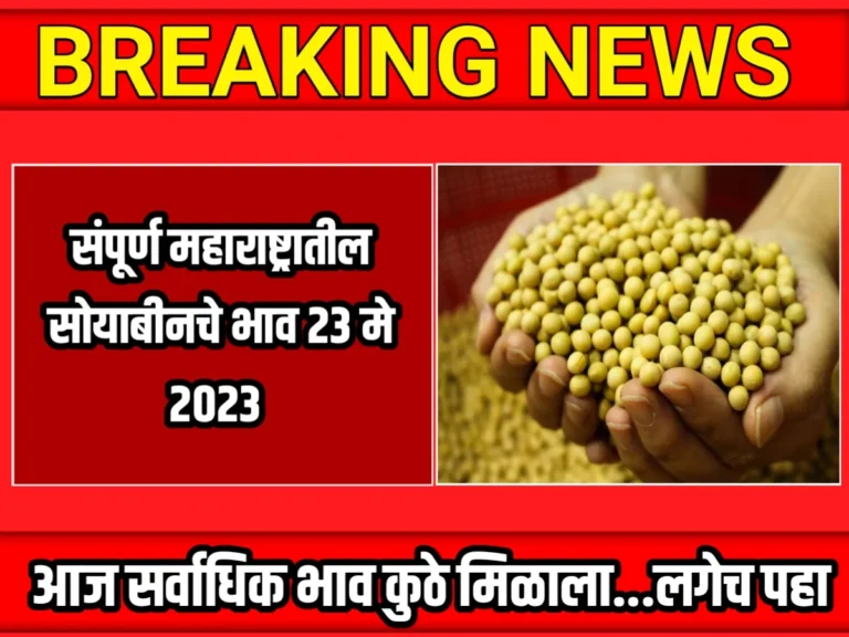 Soybean Rate : आजचे सोयाबीनचे भाव 23 मे 2023