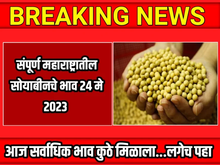 Soybean Rate : आजचे हरभराचे भाव 24 मे 2023