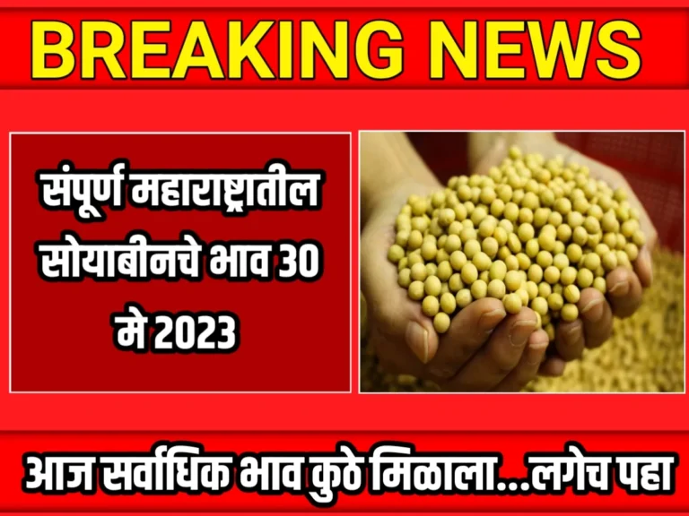 Soybean Rate : आजचे सोयाबीनचे भाव 30 मे 2023