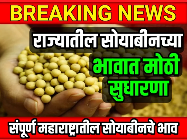 Soybean Rate : आजचे सोयाबीनचे भाव 16 मे 2023