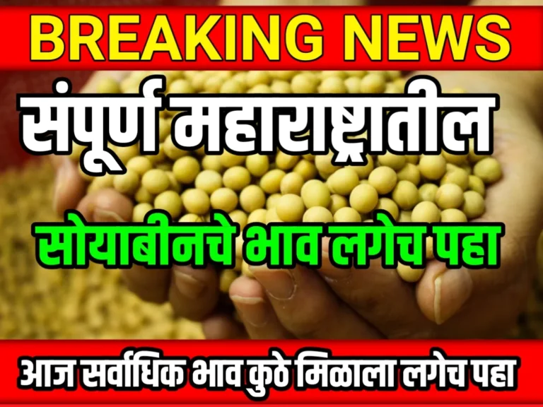 Soybean Rate : आजचे सोयाबीनचे भाव 20 मे 2023