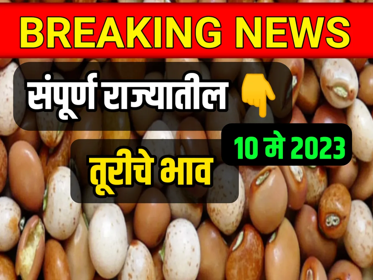 Tur Rate : आजचे तूरीचे भाव 10 मे 2023