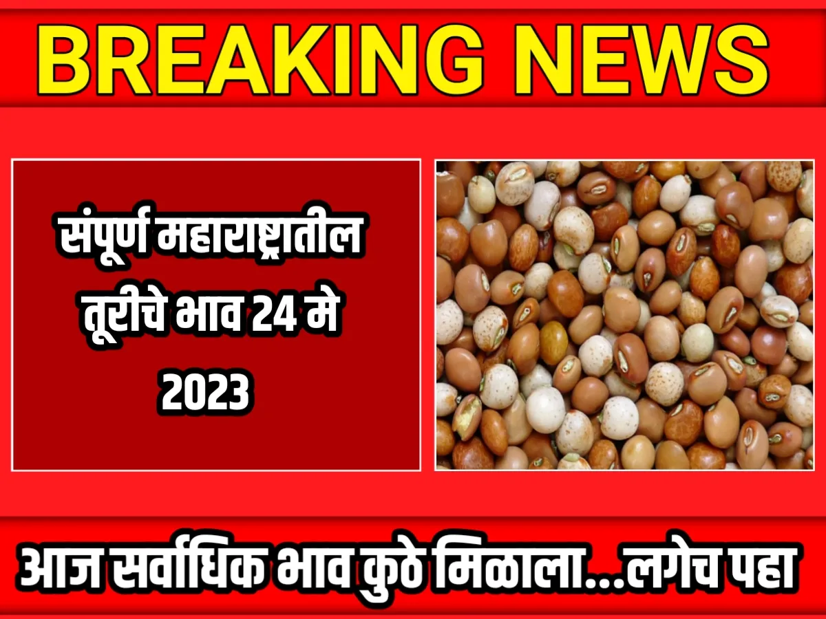 Tur Rate : आजचे तूरीचे भाव 24 मे 2023