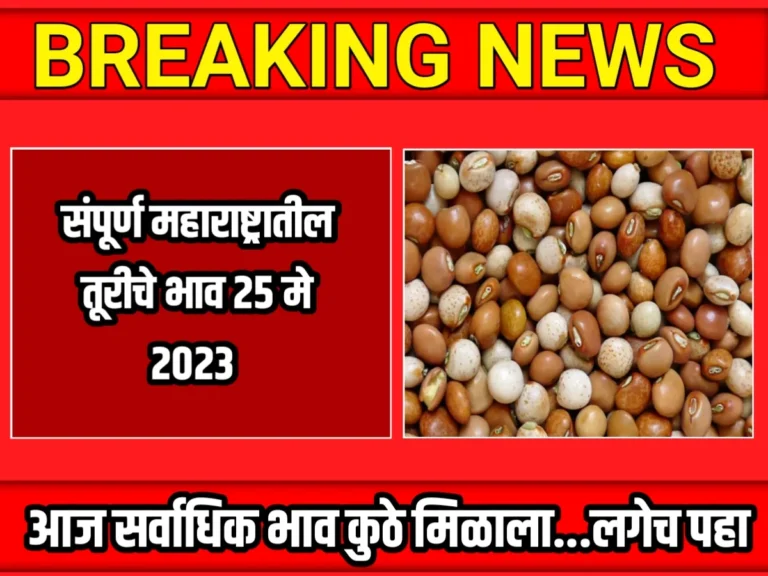 Tur Rate : आजचे तूरीचे भाव 25 मे 2023