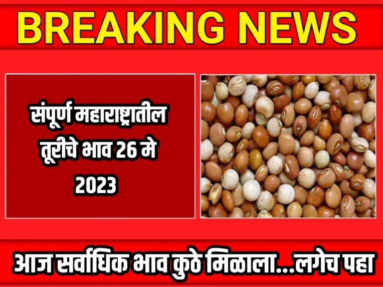 Tur Rate : आजचे तूरीचे भाव 26 मे 2023