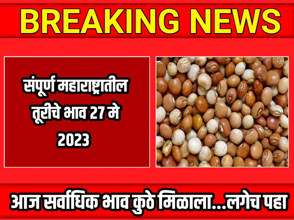 Tur Rate : आजचे तूरीचे भाव 27 मे 2023