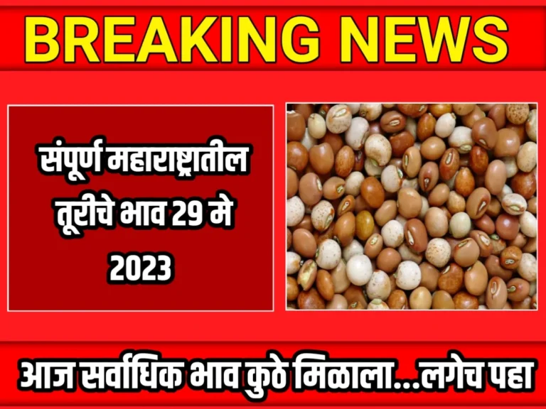 Tur Rate : आजचे तूरीचे भाव 29 मे 2023