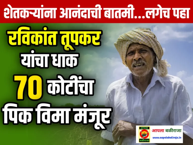 Farming Insurance : रविकांत तूपकर यांचा धाक |‍ पिक विमा कंपनीकडून तातडीने 70 कोटीचा पिक विमा मंजूर