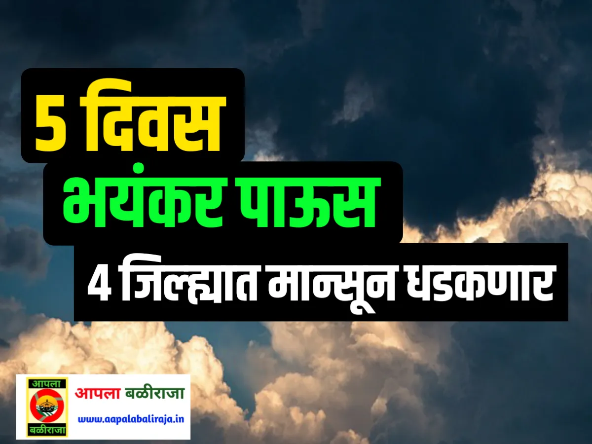 IMD : आज पासून पुढील 5 दिवस या जिल्ह्यात मुसळधार पाऊस