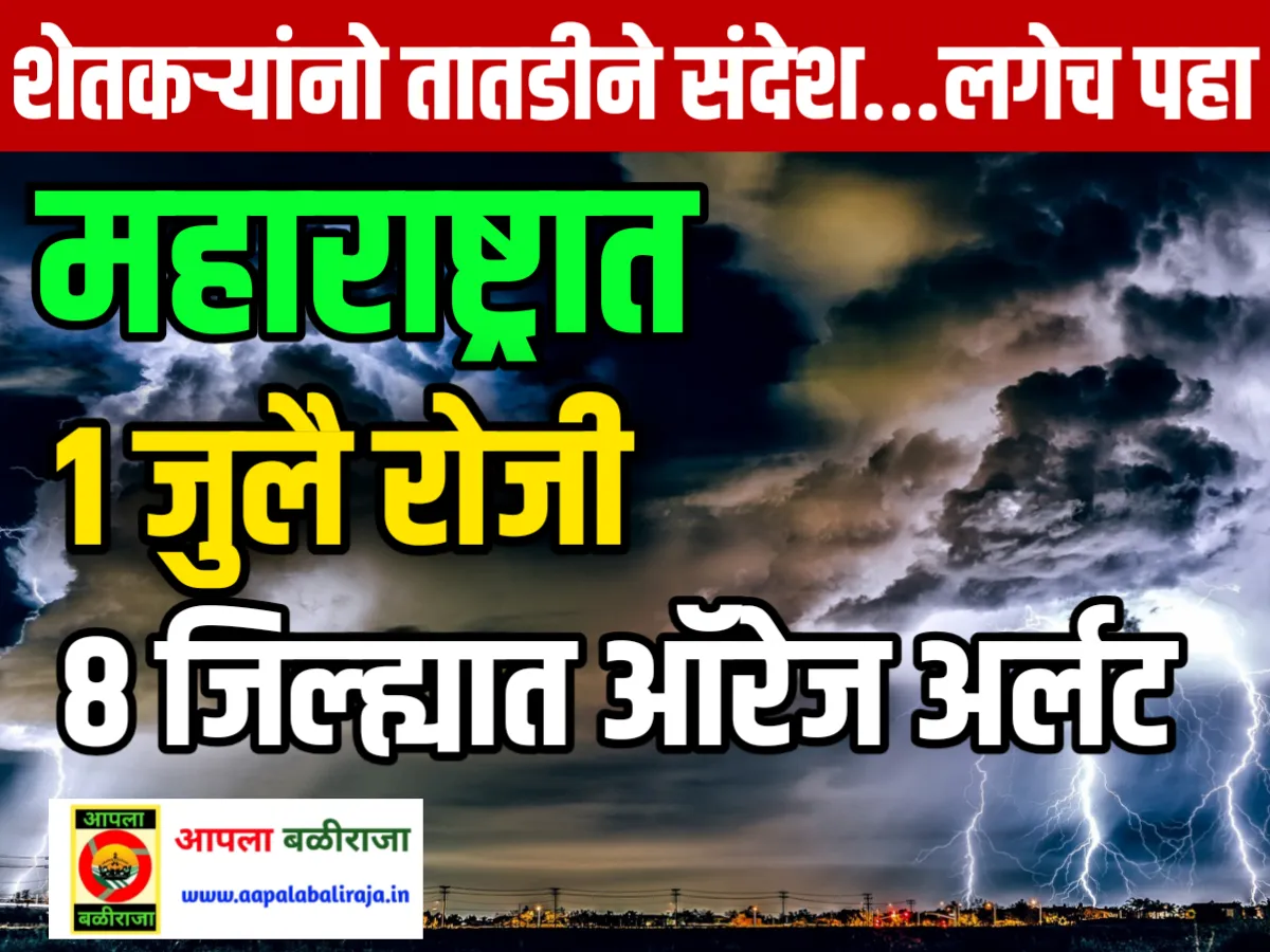 IMD : 8 जिल्ह्यांना ऑरेंज अर्लट जारी