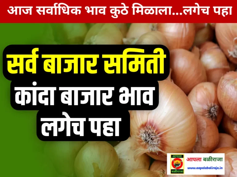 Onion Commodity Price : आजचे कांद्याचे भाव 21 जून 2023 महाराष्ट्र