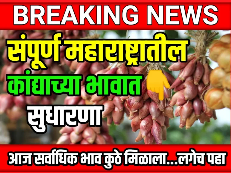 Onions Rate : आजचे कांद्याचे भाव 06 जून 2023