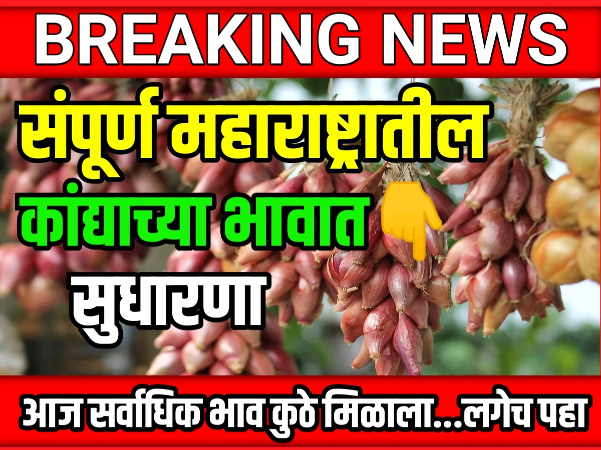 Onions Rate : आजचे कांद्याचे भाव 06 जून 2023