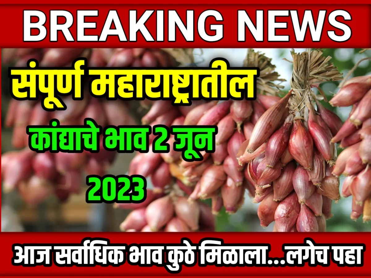 Onions Rate : आजचे कांद्याचे भाव 02 जून 2023