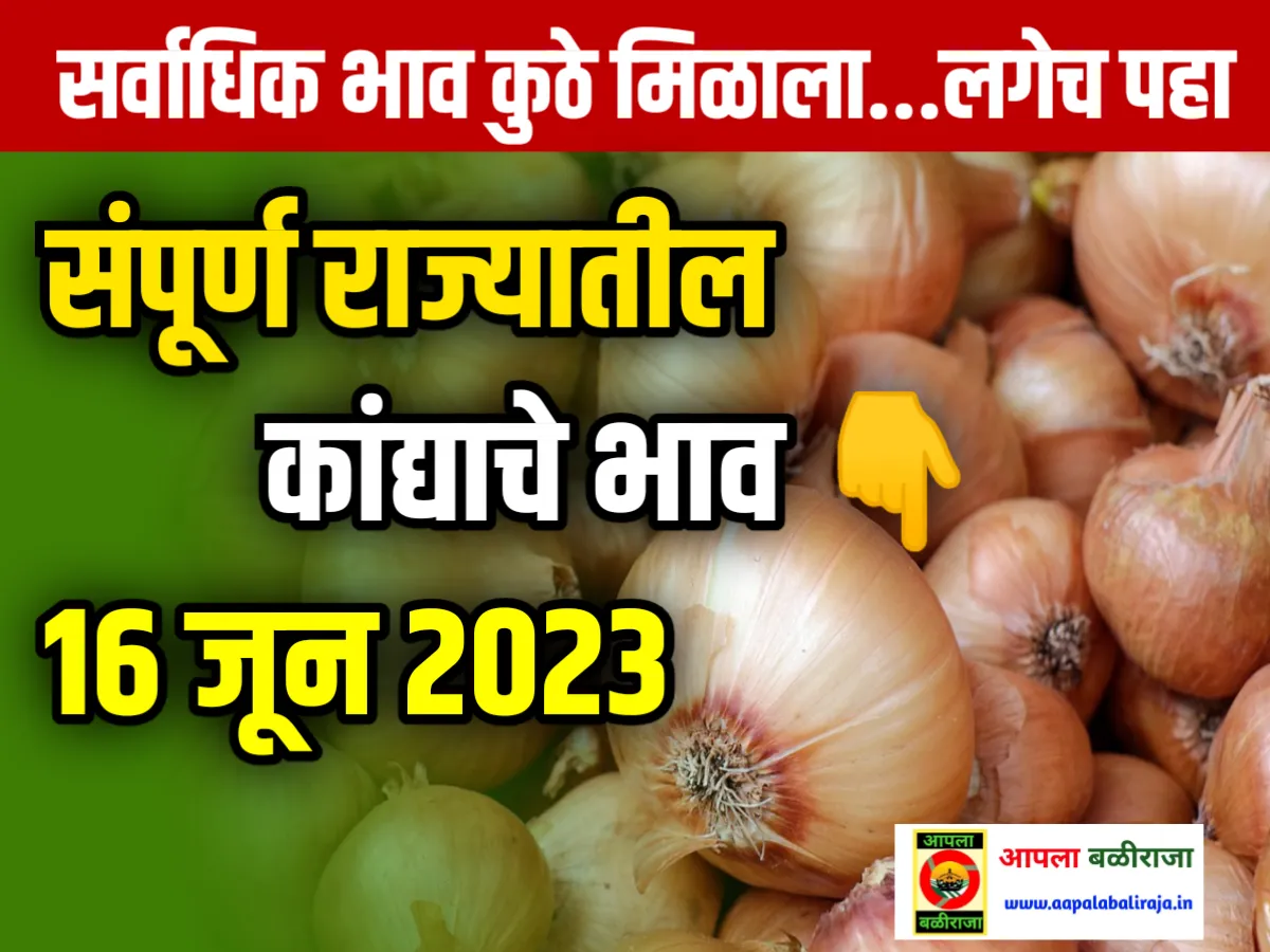 Onions Rate : आजचे कांद्याचे भाव 16 जून 2023 महाराष्ट्र