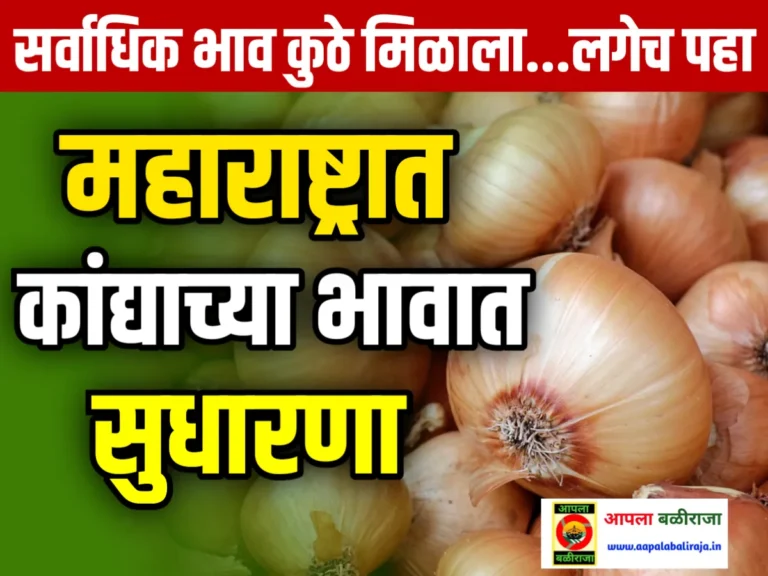 Onions Rate : आजचे कांद्याचे भाव 19 जून 2023